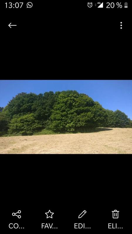 Land for sale in Trace, A Coruña photo 2