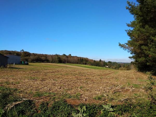 Terreno en Unnamed Road s/n photo 2