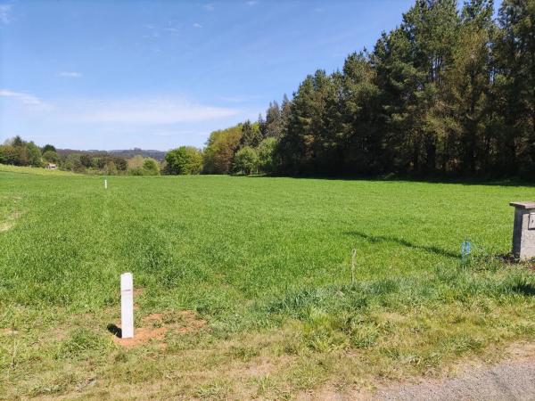 Terreno en Unnamed Road s/n photo 4