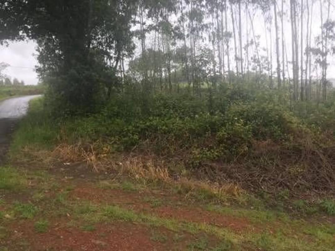 Terreno en venta en Zas, A Coruña photo 1