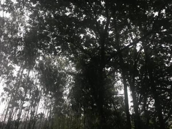 Terreno en Lugar Froxan photo 3