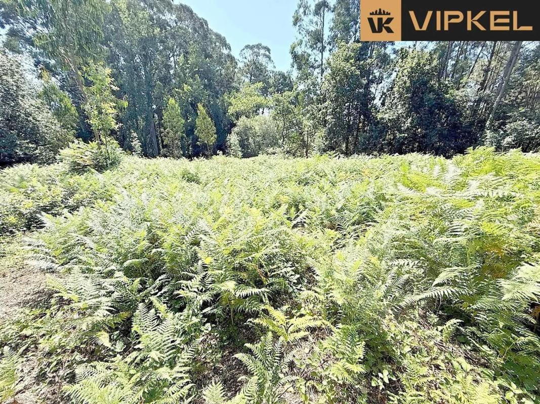 Terreno en venta en Oleiros, A Coruña photo 3
