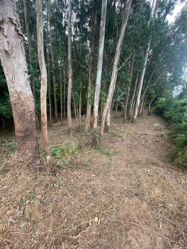 Land for sale in Sada, A Coruña photo 3
