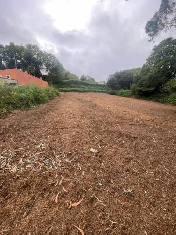 Terreno en Lugar Campo Mantas, 30 a photo 4