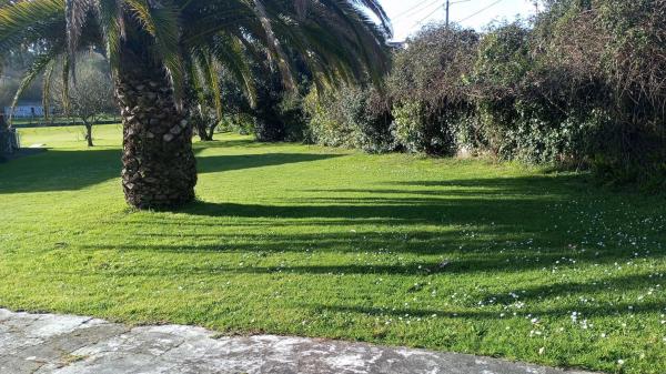 Terreno en calle Chave photo 3