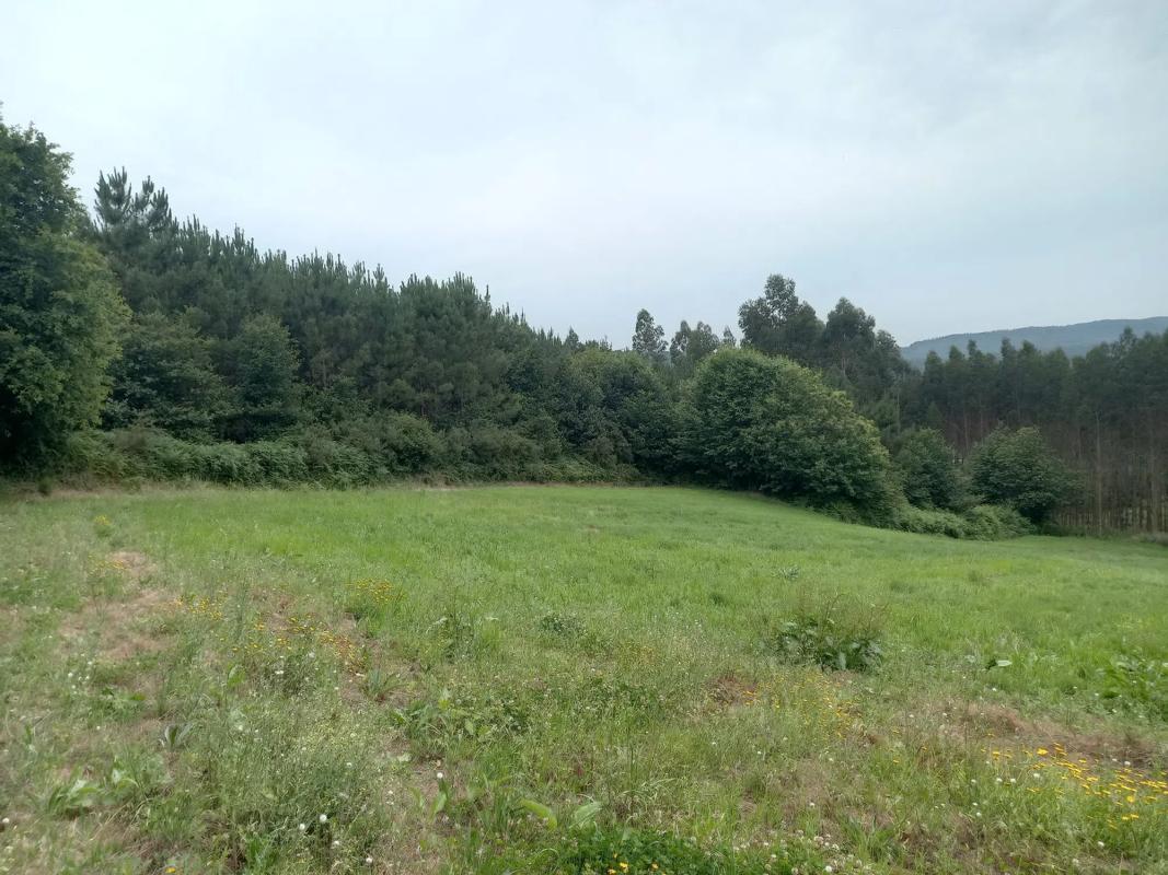 Участок земли на продажу в Карраль, Ла-Коруня photo 2
