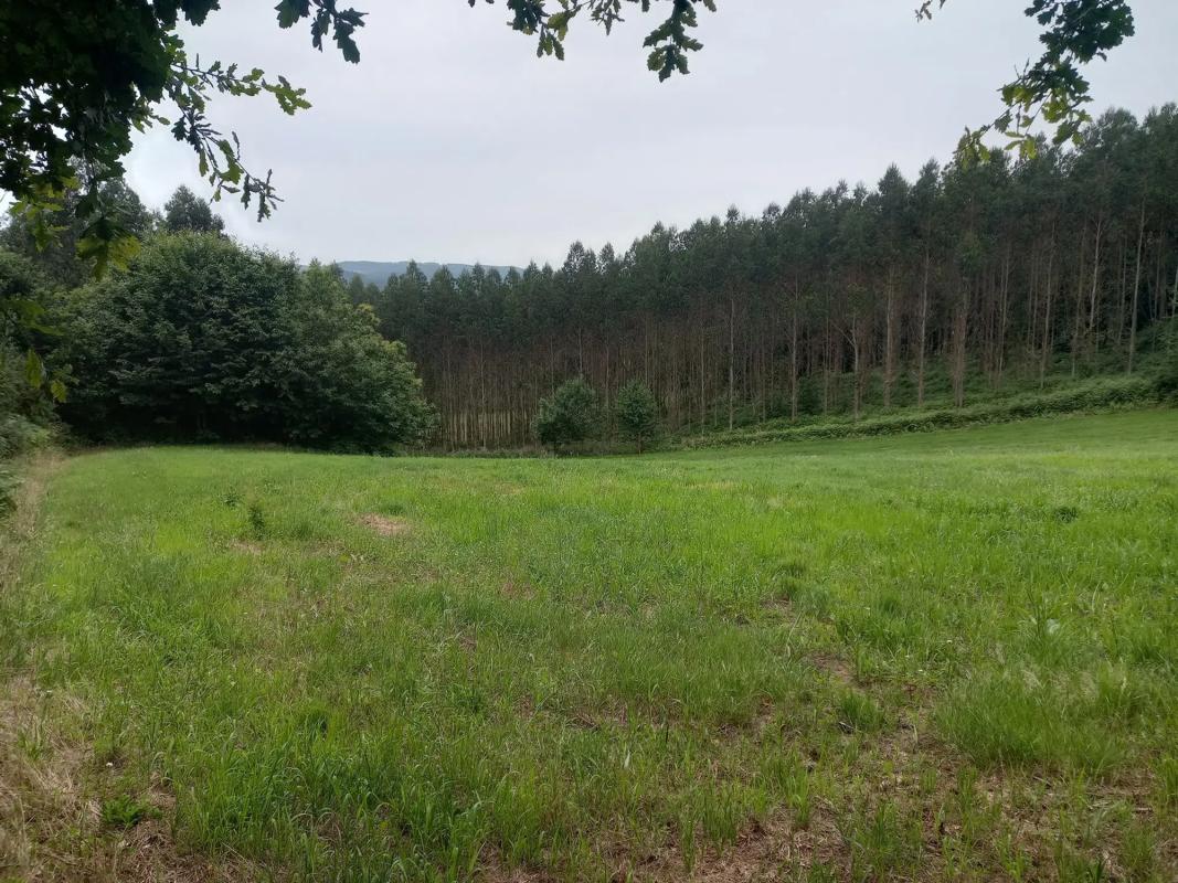Участок земли на продажу в Карраль, Ла-Коруня photo 3