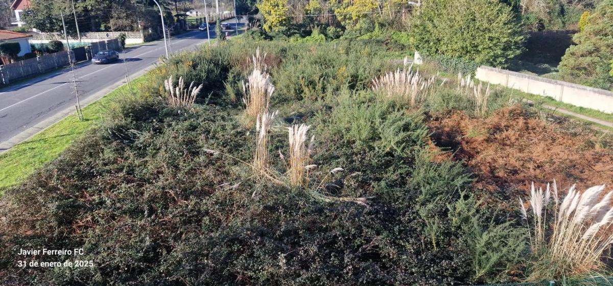 Terreno en venta en Oleiros, A Coruña photo 5