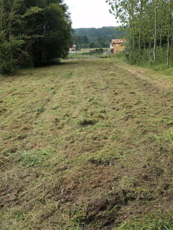 Terreno en calle peiro s/n photo 1