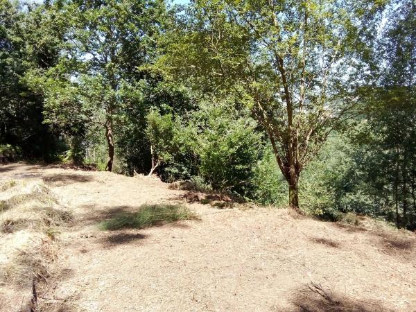 Terreno en calle Estorrentada, 18  c photo 2