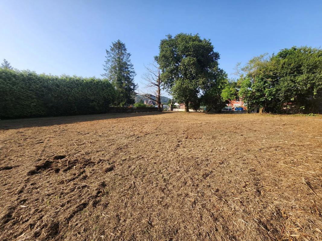 Terreno en venta en Bergondo, A Coruña photo 4