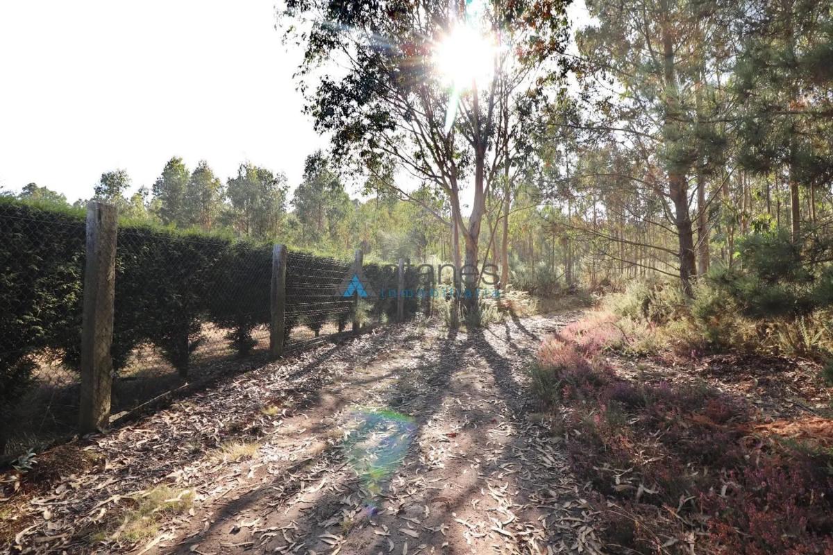 Terreno en venta en Arteixo, A Coruña photo 3