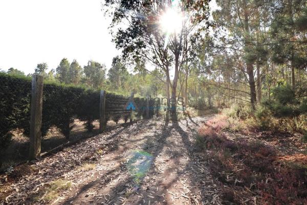 Terreno en Arteixo photo 3