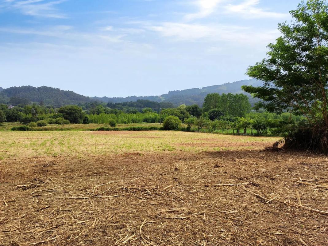 Terreno en venta en Culleredo, A Coruña photo 2