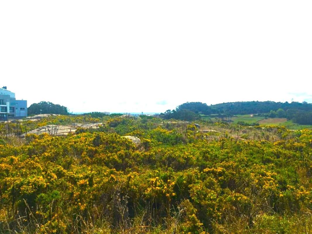 Участок земли на продажу в А Coruña, Ла-Коруня photo 5