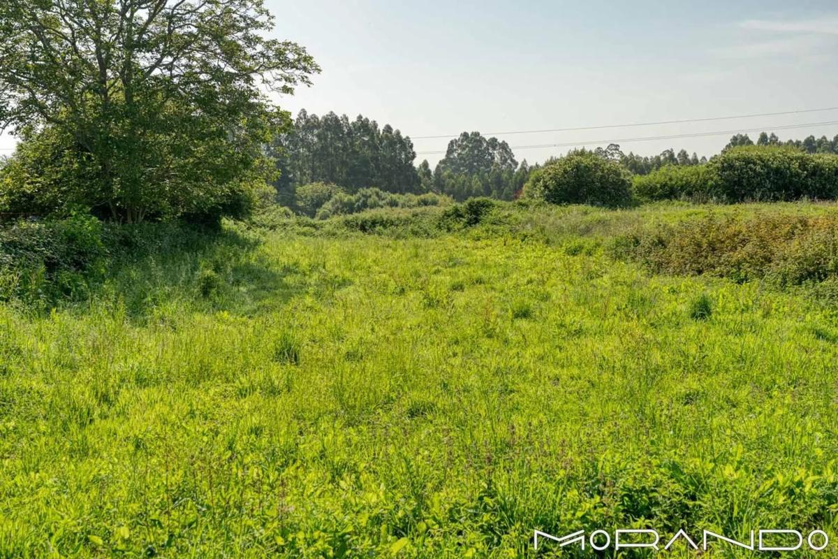 Terreno en venta en Sada, A Coruña photo 2