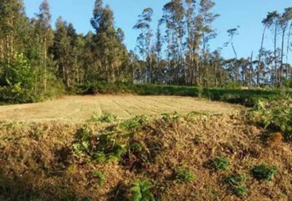 Terreno en Lugar Campiña s/n photo 2