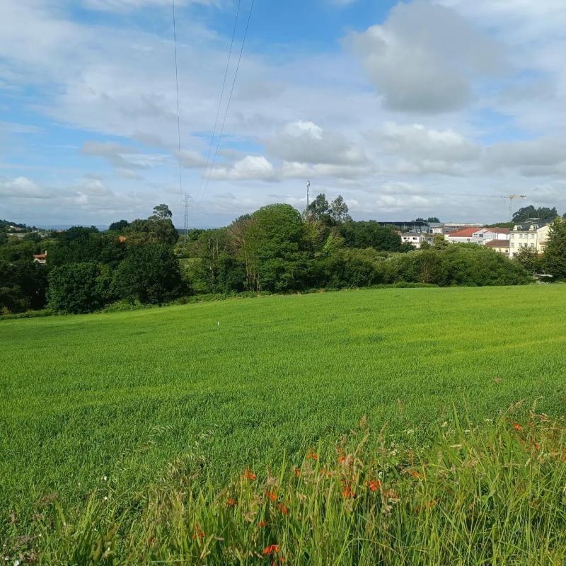 Terreno en venta en Abegondo, A Coruña photo 4