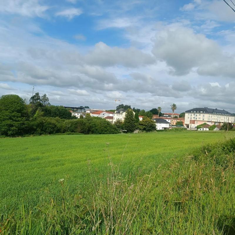 Terreno en venta en Abegondo, A Coruña photo 5