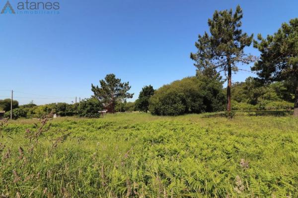 Terreno en Mera-Serantes photo 1