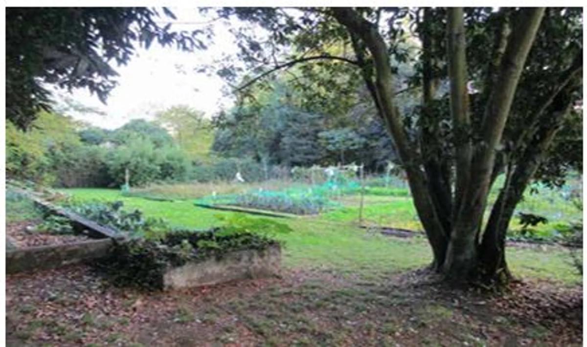 Terreno en venta en Culleredo, A Coruña photo 2