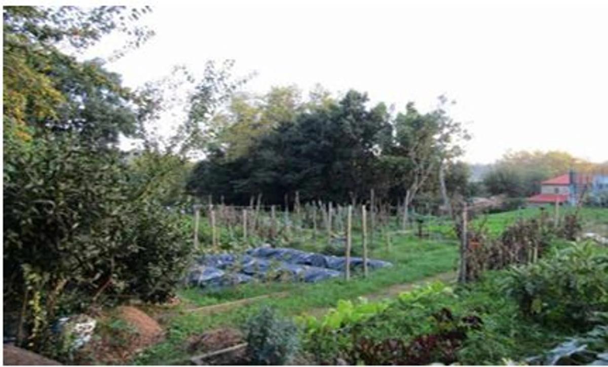 Terreno en venta en Culleredo, A Coruña photo 3