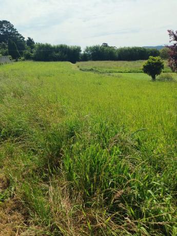 Terreno en Sueiro, 1 photo 2