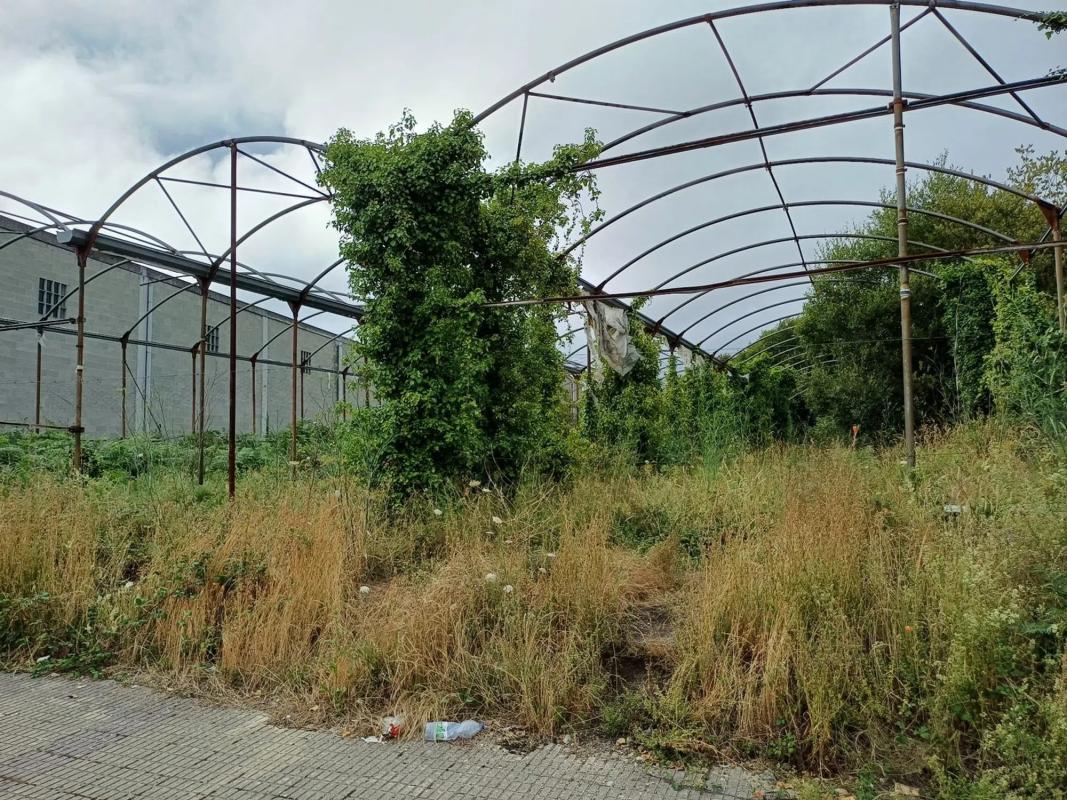 Terreno en venta en Culleredo, A Coruña photo 2