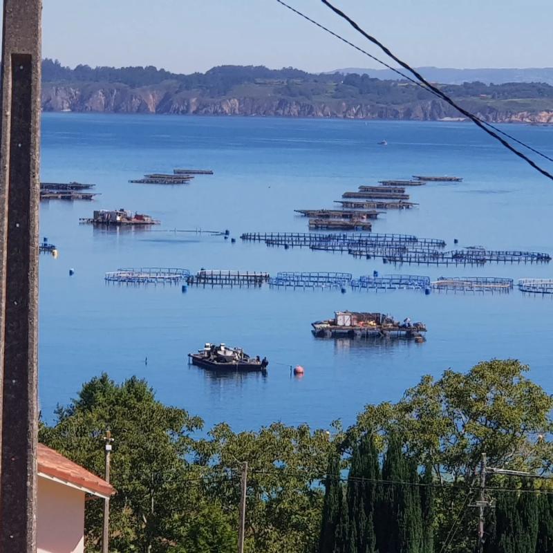 Działka na sprzedaż w Sada, A Coruña photo 3