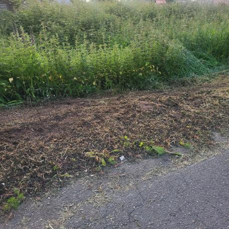 Terreno en sada s/n photo 2