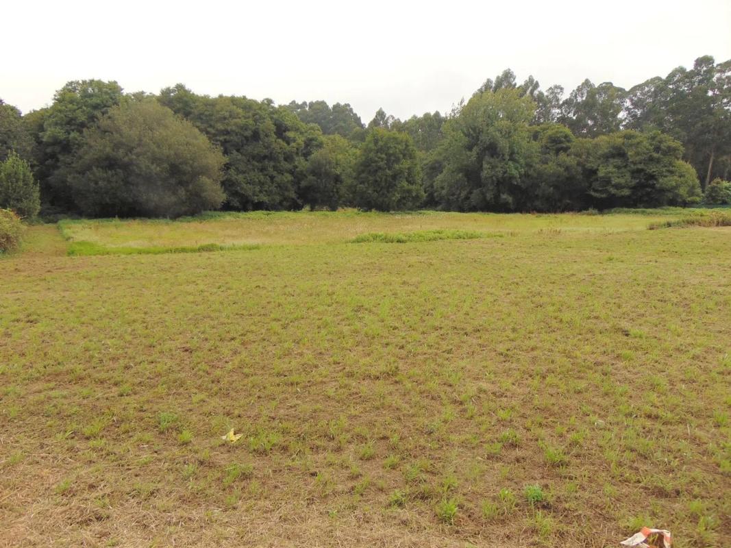 Terreno en venta en Bergondo, A Coruña photo 3