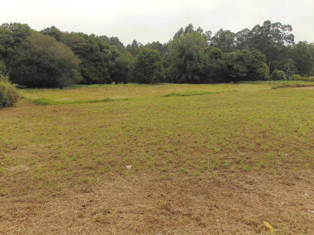 Terreno en venta en Bergondo, A Coruña photo 2