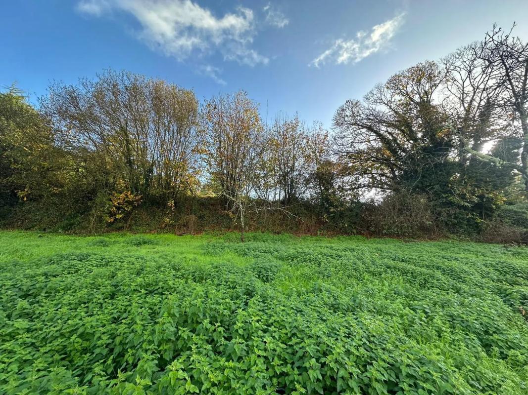 Land for sale in Oleiros, A Coruña photo 3