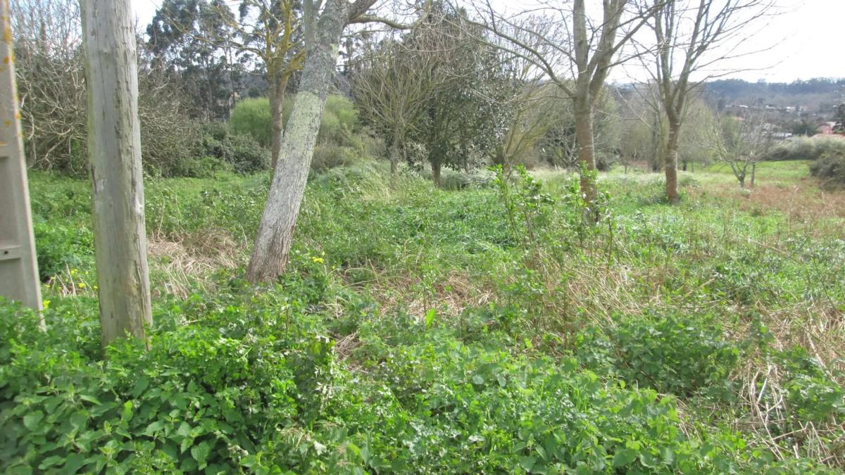 Terreno en venta en Oleiros, A Coruña photo 1