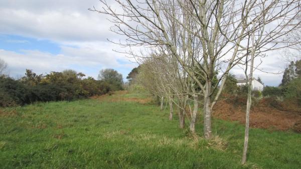 Terreno en calle Aro s/n photo 2