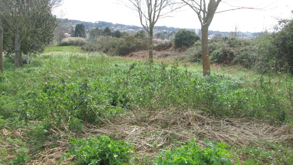 Terreno en venta en Oleiros, A Coruña photo 3