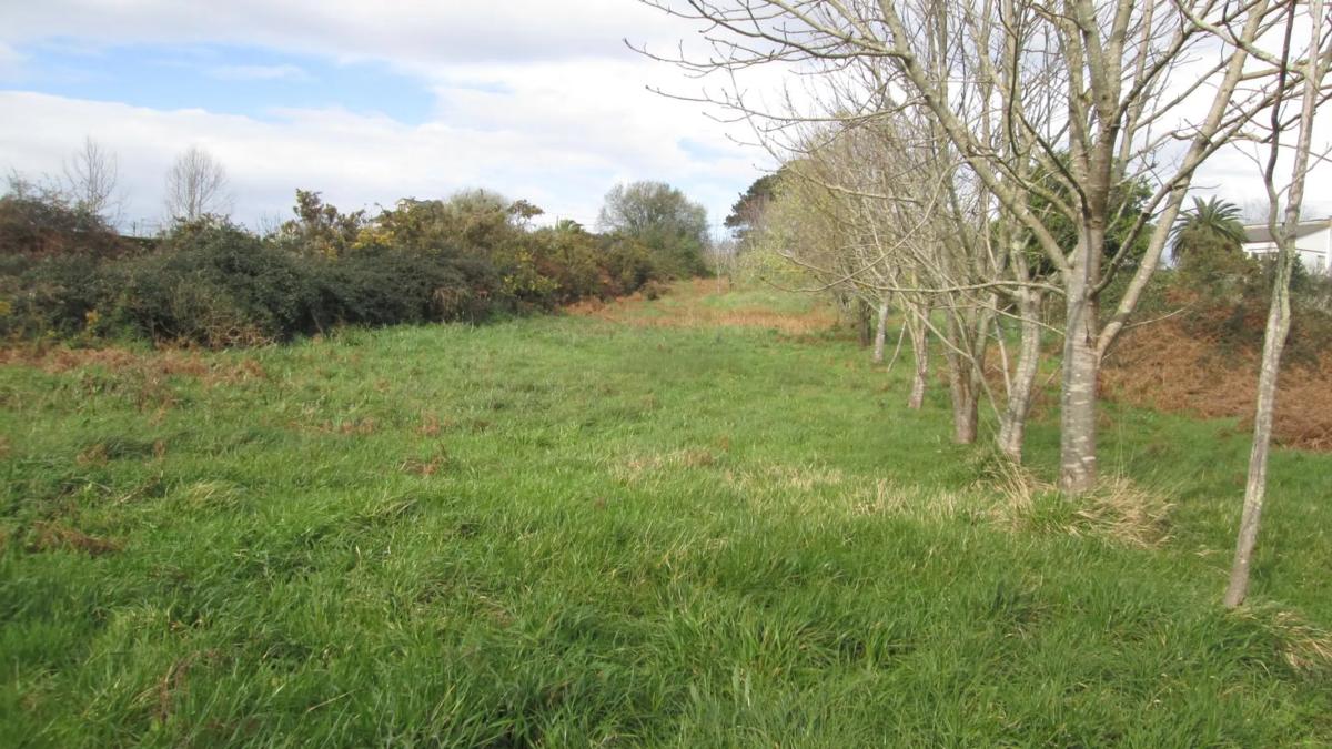 Terreno en venta en Oleiros, A Coruña photo 4