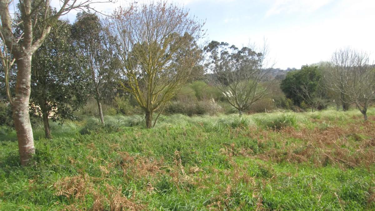 Terreno en venta en Oleiros, A Coruña photo 5