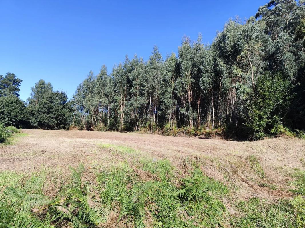 Участок земли на продажу в Камбре, Ла-Коруня photo 2