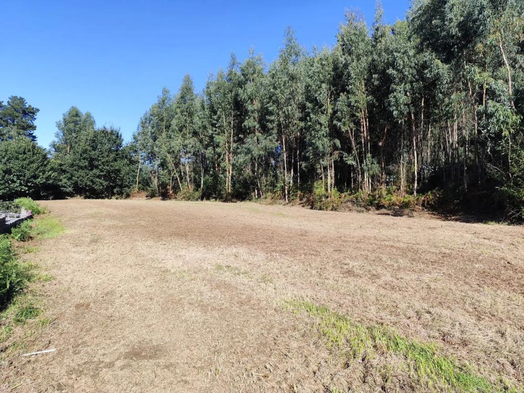 Участок земли на продажу в Камбре, Ла-Коруня photo 3