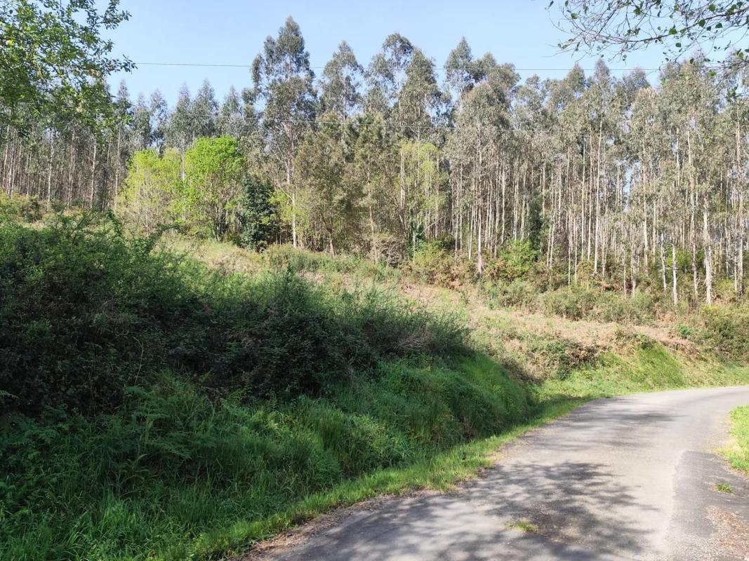 Działka na sprzedaż w Karral, A Coruña photo 4