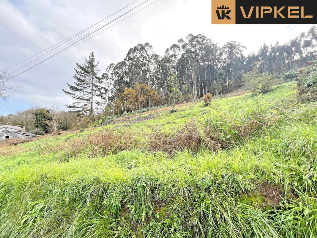 Terreno en venta en Oleiros, A Coruña photo 4