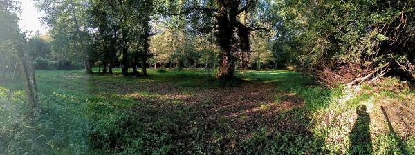 Terreno en calle Anceis, 29 photo 1