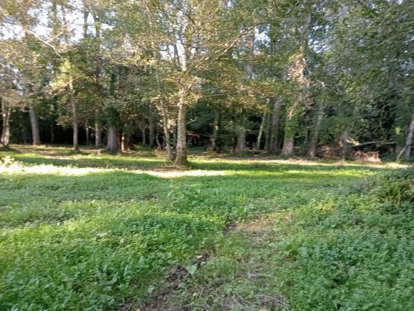 Terreno en calle Anceis, 29 photo 2