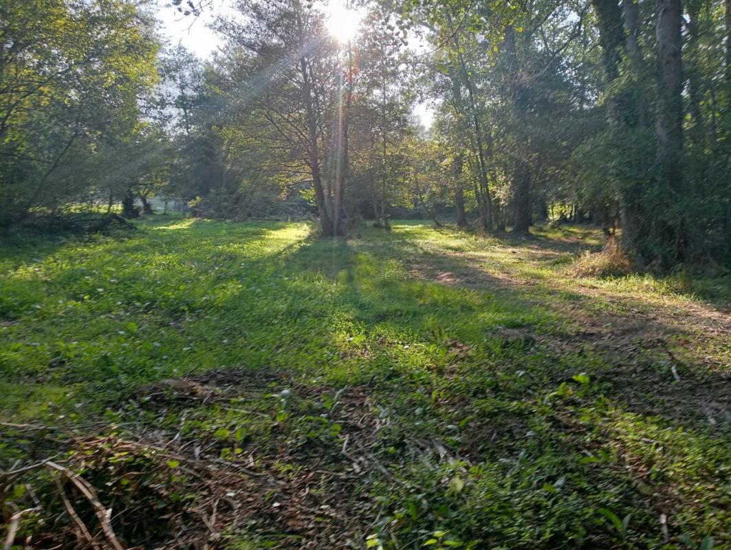 Działka na sprzedaż w Kąbrów, A Coruña photo 3