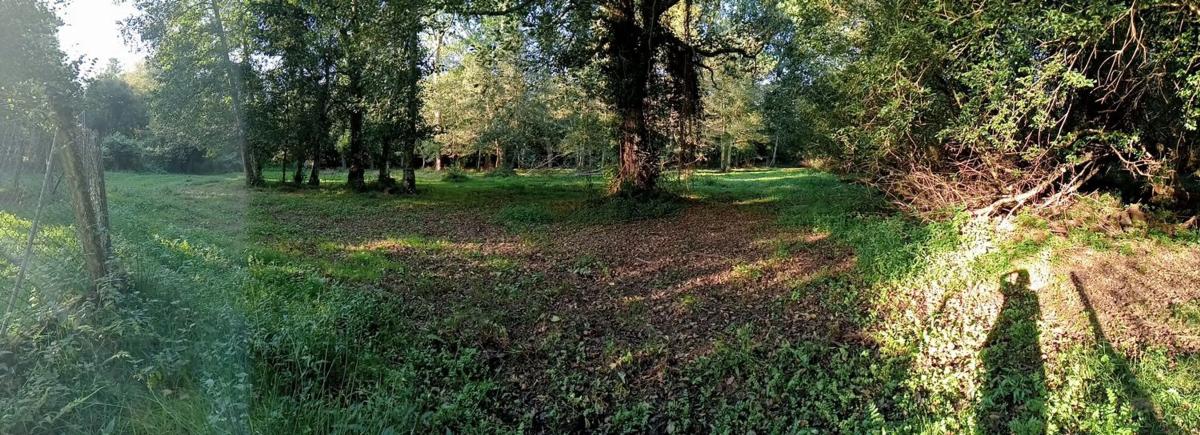 Działka na sprzedaż w Kąbrów, A Coruña photo 5