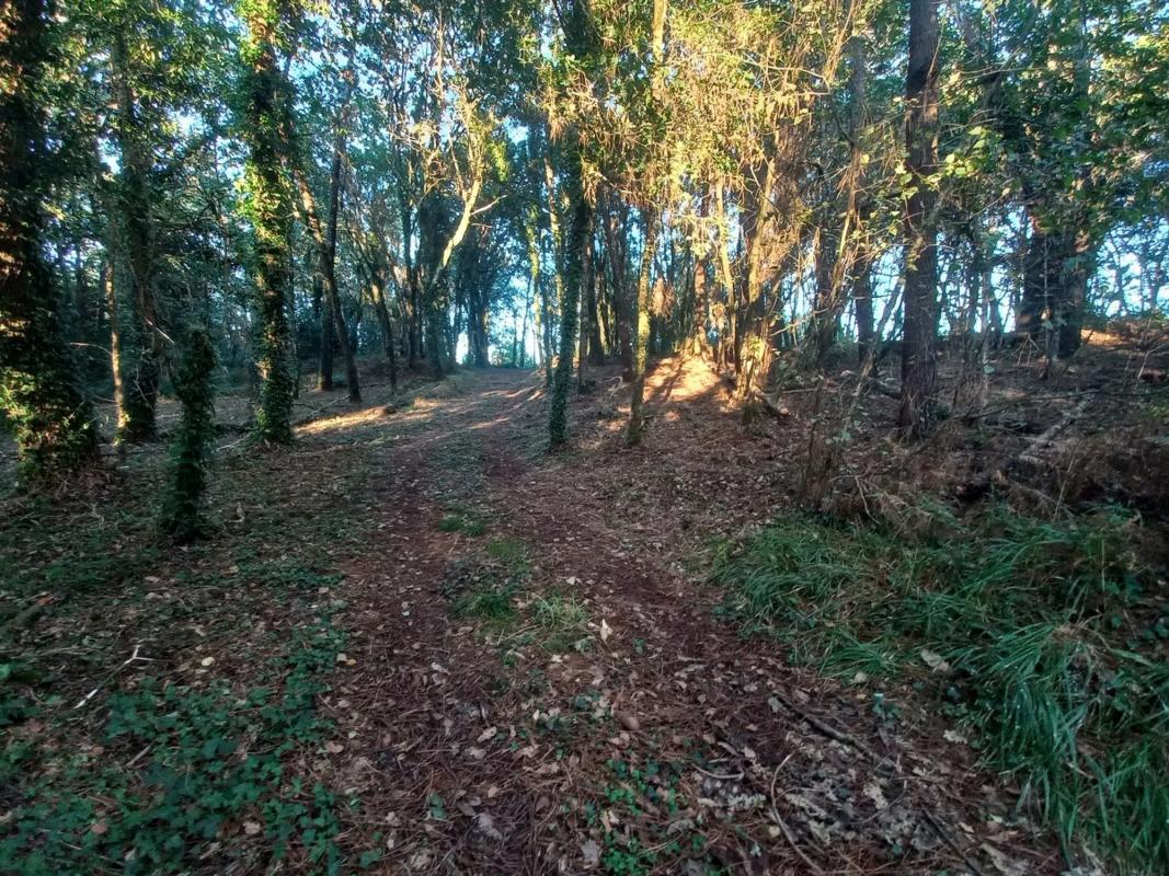 Działka na sprzedaż w Kąbrów, A Coruña photo 1