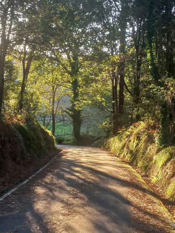 Działka na sprzedaż w Kąbrów, A Coruña photo 2