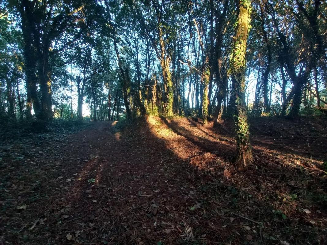 Działka na sprzedaż w Kąbrów, A Coruña photo 4