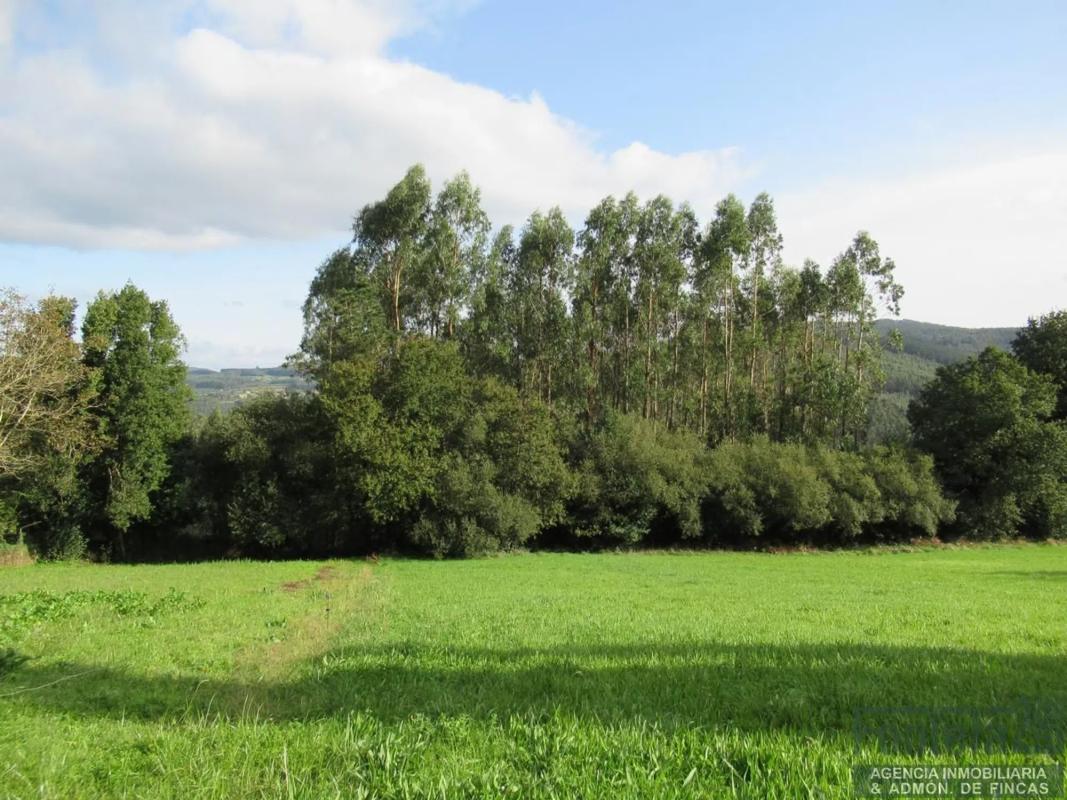 Terreno en venta en Abegondo, A Coruña photo 5